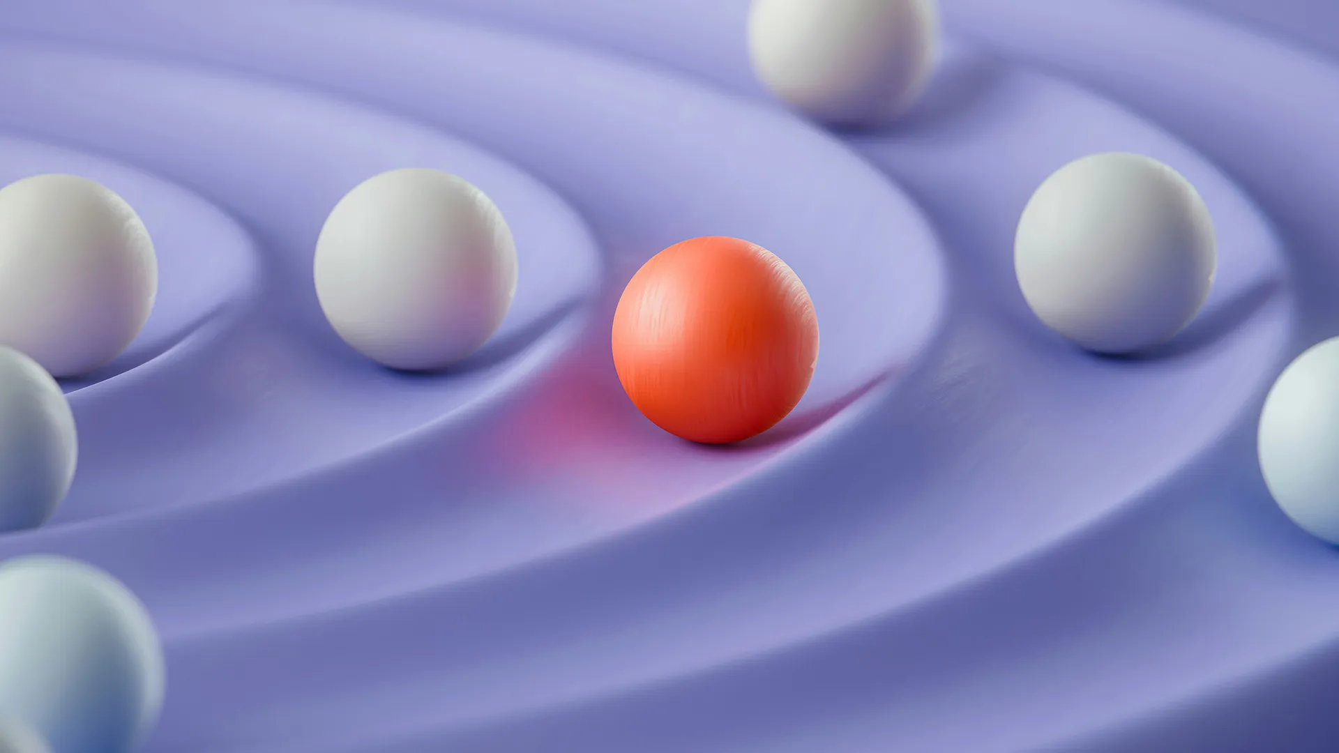 Difference between assignment and workation