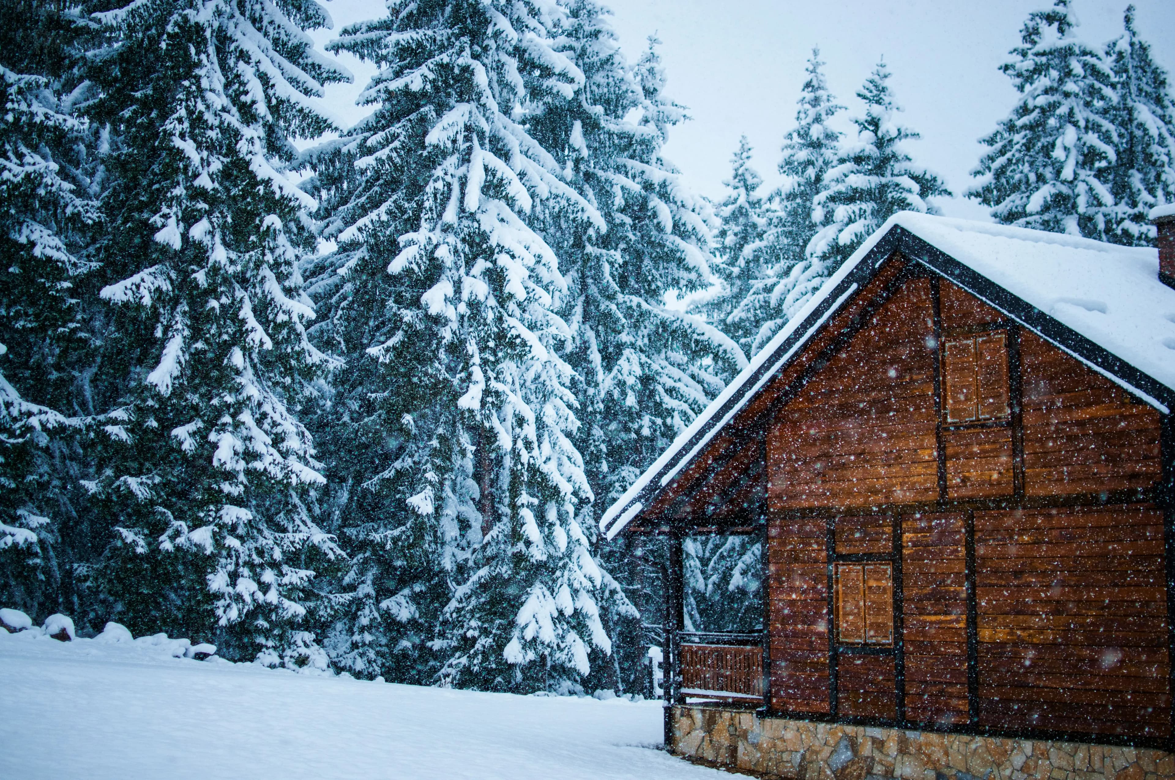 Cozy wooden cabin nestled in a snowy winter forest, evoking the desire to escape the cold season for a warmer, inspiring workation destination.